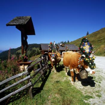 Das Großarltal mit seiner unvergleichbaren Natur lädt zum Wandern im Herbst ein - (c) Tourismusverband Großarltal