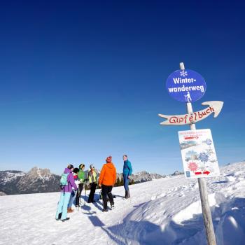 Der Rundweg ist vom Start ab gut beschildert - Winterwanderung auf dem Neunerköpfle - (c) Maren Recken