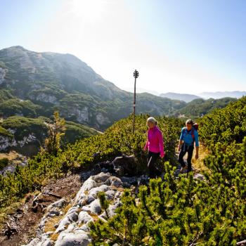 Die Wege führen durch Wiesen, entlang der Felsen und wie hier durch die Latschen - (c) Tom Lamm