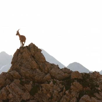 Wandern im Kleinwalsertal - Wanderung Wanderlust Vorarlberg Allgäu