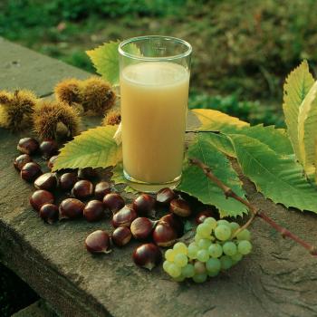 Herbst an der Südlichen Weinstraße: „Keschde“ , die Kastanie, in aller Munde - (c) Südliche Weinstraße