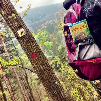 Herbst an der Südlichen Weinstraße: „Keschde“ , die Kastanie, in aller Munde - (c) Südliche Weinstraße