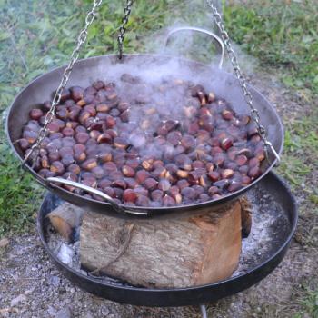 Herbst an der Südlichen Weinstraße: „Keschde“ , die Kastanie, in aller Munde - (c) Südliche Weinstraße