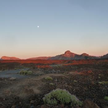 Der Norden Teneriffas – Vulkane, Regenwald und Meer - (c) Gabi Dräger