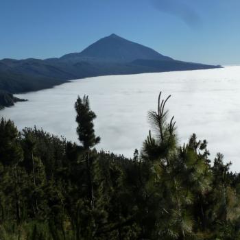 Der Norden Teneriffas – Vulkane, Regenwald und Meer - (c) Gabi Dräger