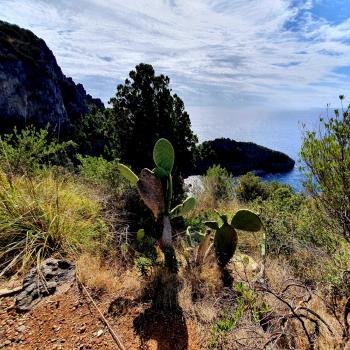 Vom Fischerstädtchen Marina di Camerota entlang des paradiesischen Küstenstreifens zur Baia degli Infreschi - (c) Susanne Wess