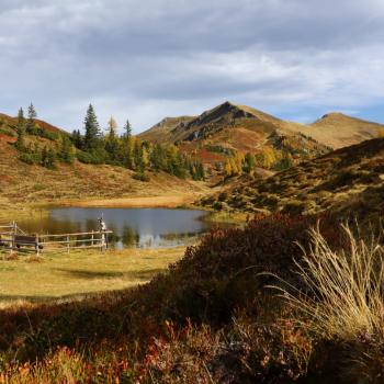 Gipfelsieg oder Genusstour? - Wandern im Sommer und Herbst 2020 in Salzburger Großarltal - (c) Tourismusverband Großarltal