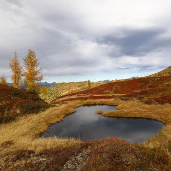 Gipfelsieg oder Genusstour? - Wandern im Sommer und Herbst 2020 in Salzburger Großarltal - (c) Tourismusverband Großarltal