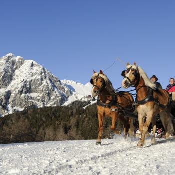 Aufgalopp im Land der Haflinger - (c) TV Hafling Laurin Moser