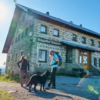 „Wandern mit Hund“ auf den Top Trails of Germany - durch Wald und Wiesen mit dem Vierbeiner: Die schönsten Wandertouren mit Hund auf den 13 deutschen Spitzenwanderwege - (c) Top Trails of Germany