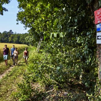 Wandervergnügen mit Qualitätssiegel - Vier Routen im „Lieblichen Taubertal“ besitzen Prädikat - (c) Liebliches Taubertal