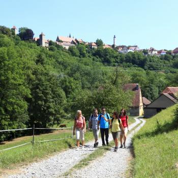 Wandervergnügen mit Qualitätssiegel - Vier Routen im „Lieblichen Taubertal“ besitzen Prädikat - (c) Liebliches Taubertal