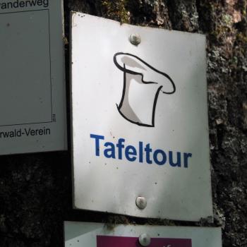 Die Tafeltour rund um die Saarschleife bei Mettlach - Im Märchenwald finden wir uns wieder - (c) Jörg Bornmann