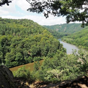 Die Tafeltour rund um die Saarschleife bei Mettlach - Im Märchenwald finden wir uns wieder - (c) Jörg Bornmann