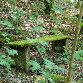 Die Tafeltour rund um die Saarschleife bei Mettlach - Im Märchenwald finden wir uns wieder - (c) Jörg Bornmann