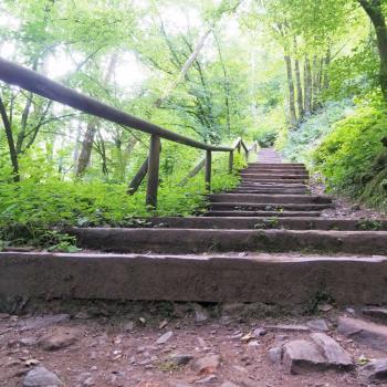 Die Tafeltour rund um die Saarschleife bei Mettlach - Im Märchenwald finden wir uns wieder - (c) Jörg Bornmann