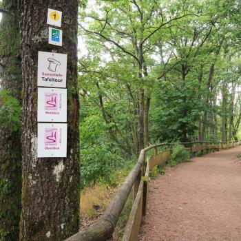 Die Tafeltour rund um die Saarschleife bei Mettlach - Im Märchenwald finden wir uns wieder - (c) Jörg Bornmann