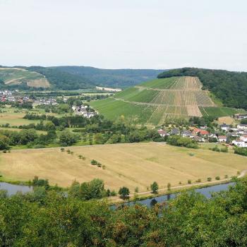 Weinwanderung durch den Ockfener Bockstein - (c) Jörg Bornmann