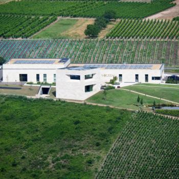 Weinwanderung durch den Ockfener Bockstein - (c) Jörg Bornmann