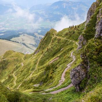 Wandervielfalt in Österreichs Wanderdörfern - Weitwandern, Kat-Walk - (c) Peter Vonier