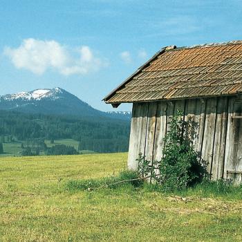 Das Wertacher Hörnle, ein beliebter Wandergipfel in den Oberallgäuer Vorbergen - <a href="https://www.wanderfreak.de/wertacher-hoernle-1684-m-3-1/2-std" target="_blank">Zur Tourbeschreibung</a> - (c) Rother Bergverlag