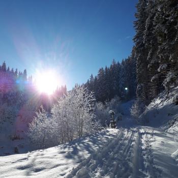 Winterwandern am Wasserweg Leisnitz - (c) D. Fuchs, St. Margarethen