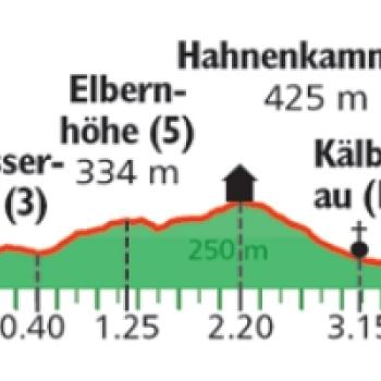 Zum höchsten Berg des Vorspessart Höhenprofil