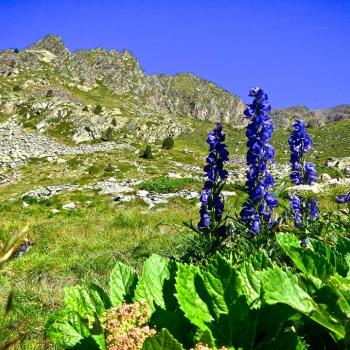 Das Fürstentum Andorra ruft zu einem unvergesslichen Wanderurlaub - (c) RIW-Touristik