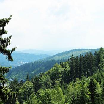 Wanderreise ins tschechische Riesengebirge - Naturerleben in Tschechien, an der Grenze zu Polen