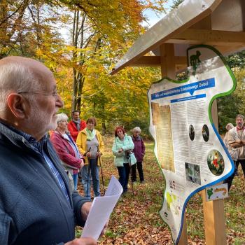 Bernhard Kraft ist die treibende Kraft, wenn es um historische Recherchen geht - (c) Sabine Zoller