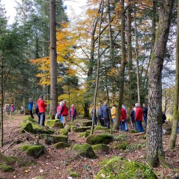 Moosbewachsene Steine im Wald sind stumme Zeugen einer längst vergangenen zeit, als diese Steine zu Bastionen formiert die Bewohner des Höhendorfes vor feinden schützten - (c) Sabine Zoller