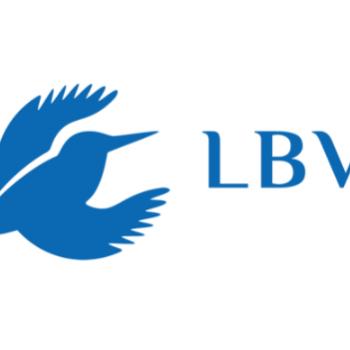 Der Wiedehopf ist Vogel des Jahres 2022 - Der exotisch aussehende Vogel gewinnt die zweite öffentliche Wahl von LBV und NABU - (c) LBV