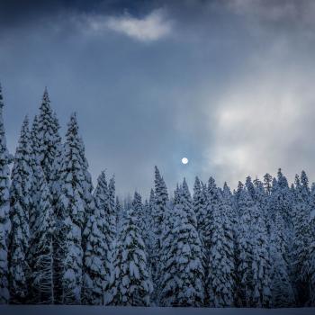 Weiße Wanderwege auf den Top Trails in den schönsten Regionen Deutschlands - Vollmond auf dem Westweg 