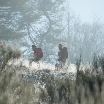 Weiße Wanderwege auf den Top Trails in den schönsten Regionen Deutschlands - Winterwandern auf dem Rothaarsteig - (c) Rothaarsteigverein e.V. Klaus-Peter Kappest