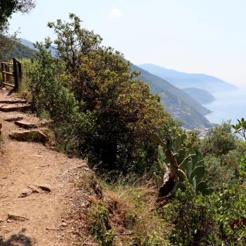 Wandern mit Meerblick in Ligurien - Unterwegs zwischen den fünf Dörfern der Cinque Terre - (c) Christine Kroll