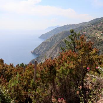 Wandern mit Meerblick in Ligurien - Unterwegs zwischen den fünf Dörfern der Cinque Terre - (c) Christine Kroll