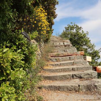 Wandern mit Meerblick in Ligurien - Unterwegs zwischen den fünf Dörfern der Cinque Terre - (c) Christine Kroll