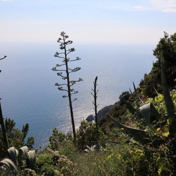 Wandern mit Meerblick in Ligurien - Unterwegs zwischen den fünf Dörfern der Cinque Terre - (c) Christine Kroll