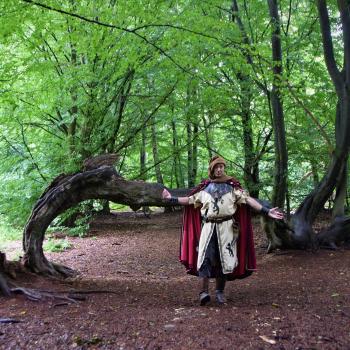 Wandern im Urwald Sababurg mit Ritter Dietrich - Unterwegs zwischen Eichen und Buchen im nordhessischen Reinhardswald - (c) Gabi Vögele