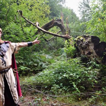 Wandern im Urwald Sababurg mit Ritter Dietrich - Unterwegs zwischen Eichen und Buchen im nordhessischen Reinhardswald - (c) Gabi Vögele