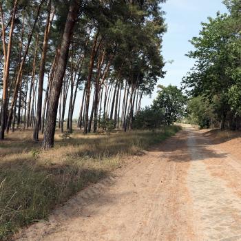 Fernwanderung von Berlin nach München - In Brandenburg - (c) Daniel Krezdorn