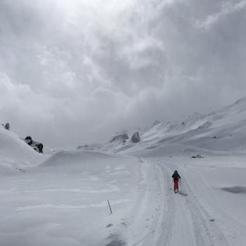 Der Fahrweg zieht sich schier endlos durch das Fimbatal in Richtung Hütte - (c) Christine Kroll