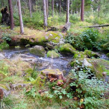 Fernwanderung von Berlin nach München - Auch durch das Fischtelgebirge führt die Wanderung - (c) Daniel Krezdorn