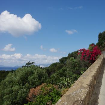 Wandern auf den Liparischen Inseln – Wanderung Nr. 1 auf Panarea - (c) Nicolette De Rossi