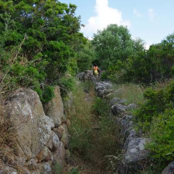 Wandern auf den Liparischen Inseln – Wanderung Nr. 1 auf Panarea - (c) Nicolette De Rossi