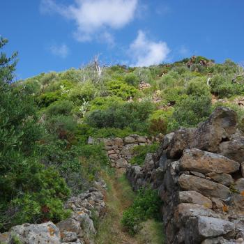 Wandern auf den Liparischen Inseln – Wanderung Nr. 1 auf Panarea - (c) Nicolette De Rossi