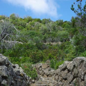 Wandern auf den Liparischen Inseln – Wanderung Nr. 1 auf Panarea - (c) Nicolette De Rossi