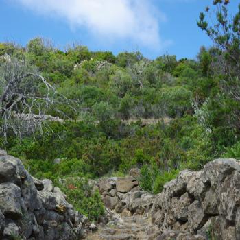 Wandern auf den Liparischen Inseln – Wanderung Nr. 1 auf Panarea - (c) Nicolette De Rossi