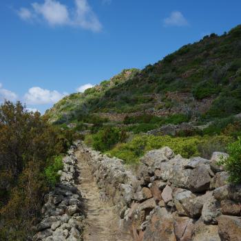 Wandern auf den Liparischen Inseln – Wanderung Nr. 1 auf Panarea - (c) Nicolette De Rossi