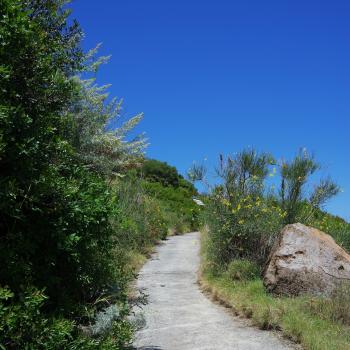 Wandern auf den Liparischen Inseln – Wanderung Nr. 1 auf Panarea - (c) Nicolette De Rossi